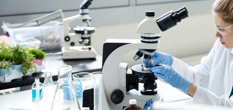 Investigadora trabajando